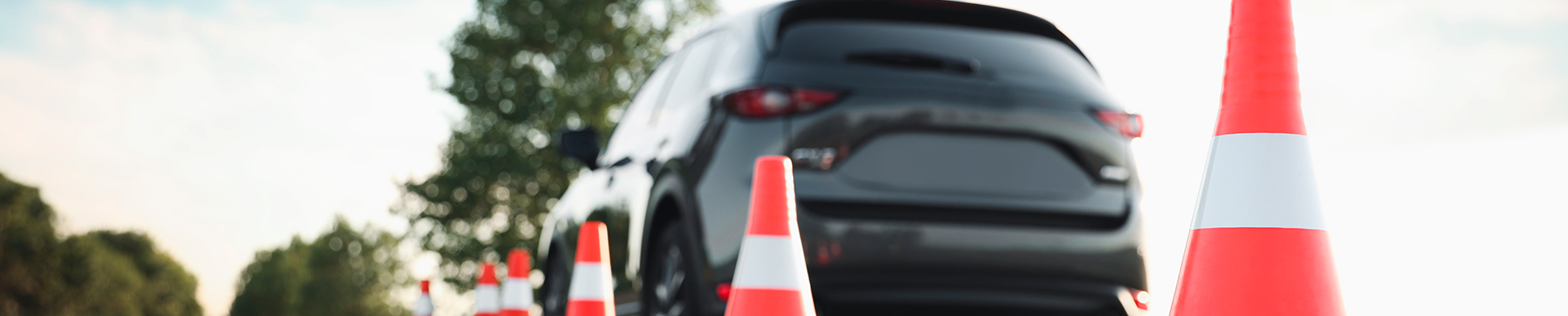 formulario-concessionaria